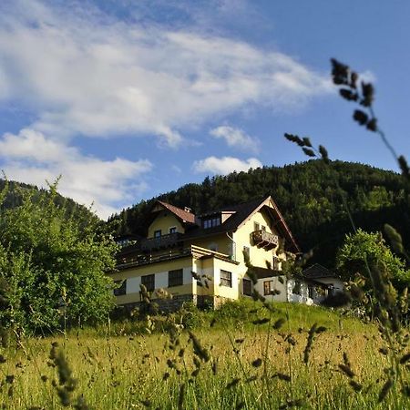Haus Seebach Lunz am See Zewnętrze zdjęcie