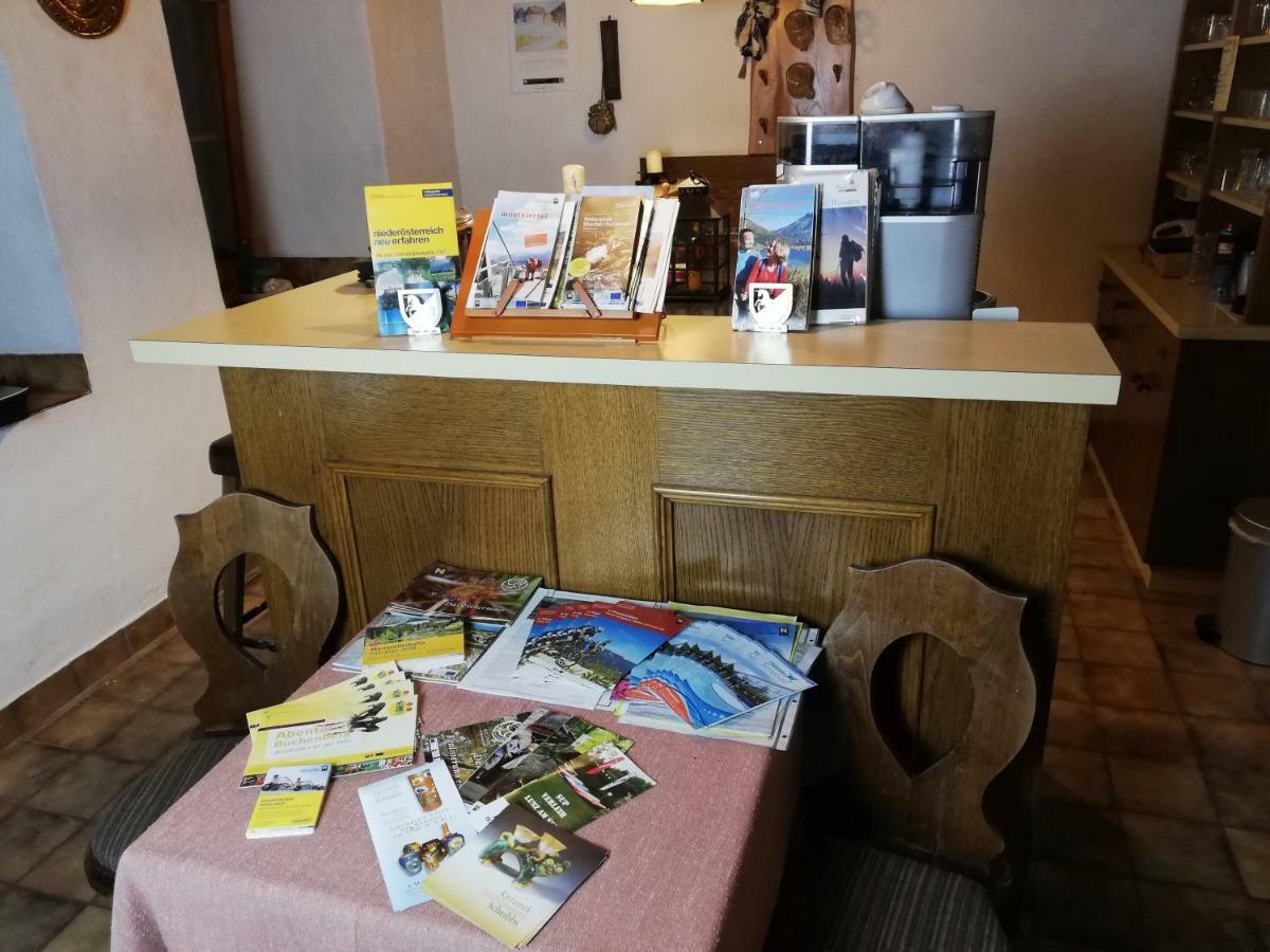 Haus Seebach Lunz am See Zewnętrze zdjęcie