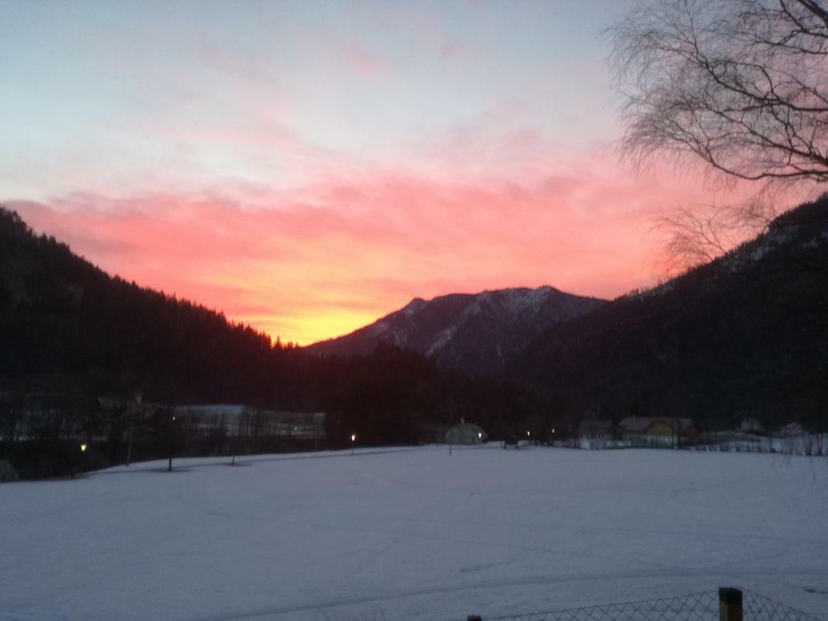 Haus Seebach Lunz am See Zewnętrze zdjęcie