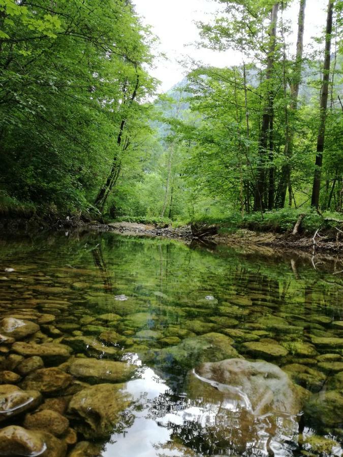 Haus Seebach Lunz am See Zewnętrze zdjęcie