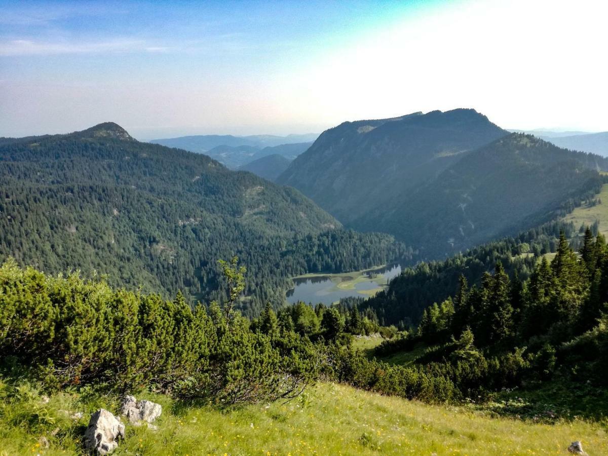 Haus Seebach Lunz am See Zewnętrze zdjęcie
