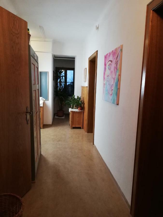 Haus Seebach Lunz am See Zewnętrze zdjęcie