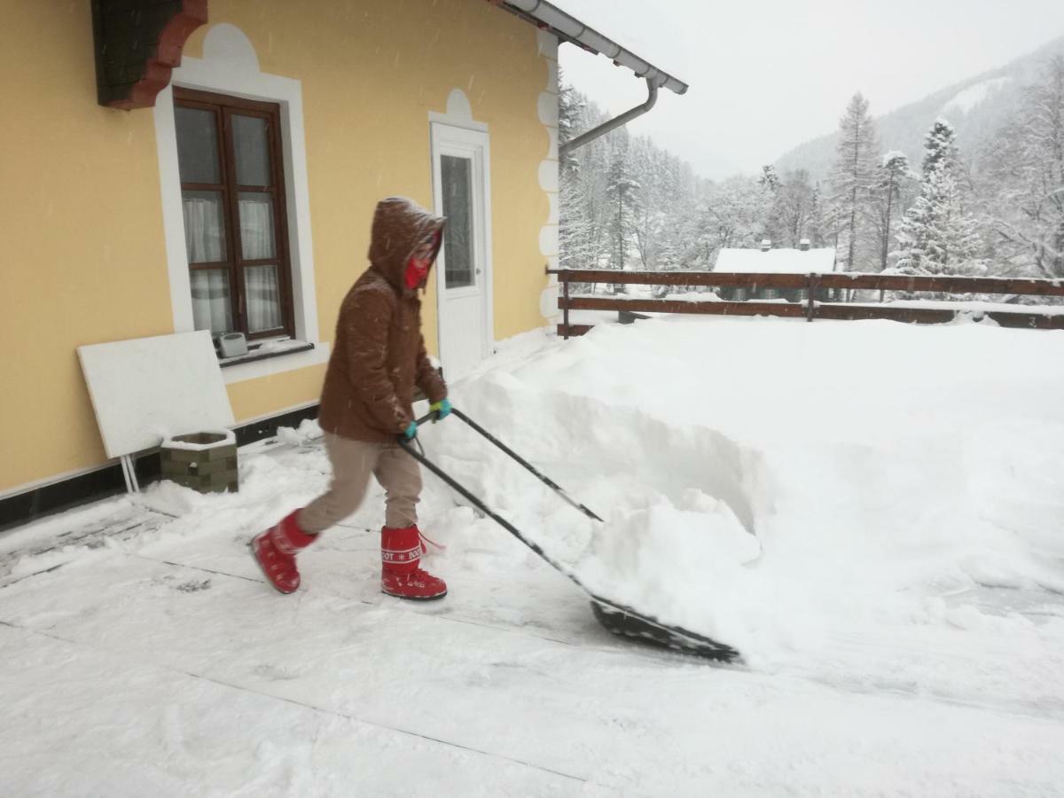 Haus Seebach Lunz am See Zewnętrze zdjęcie