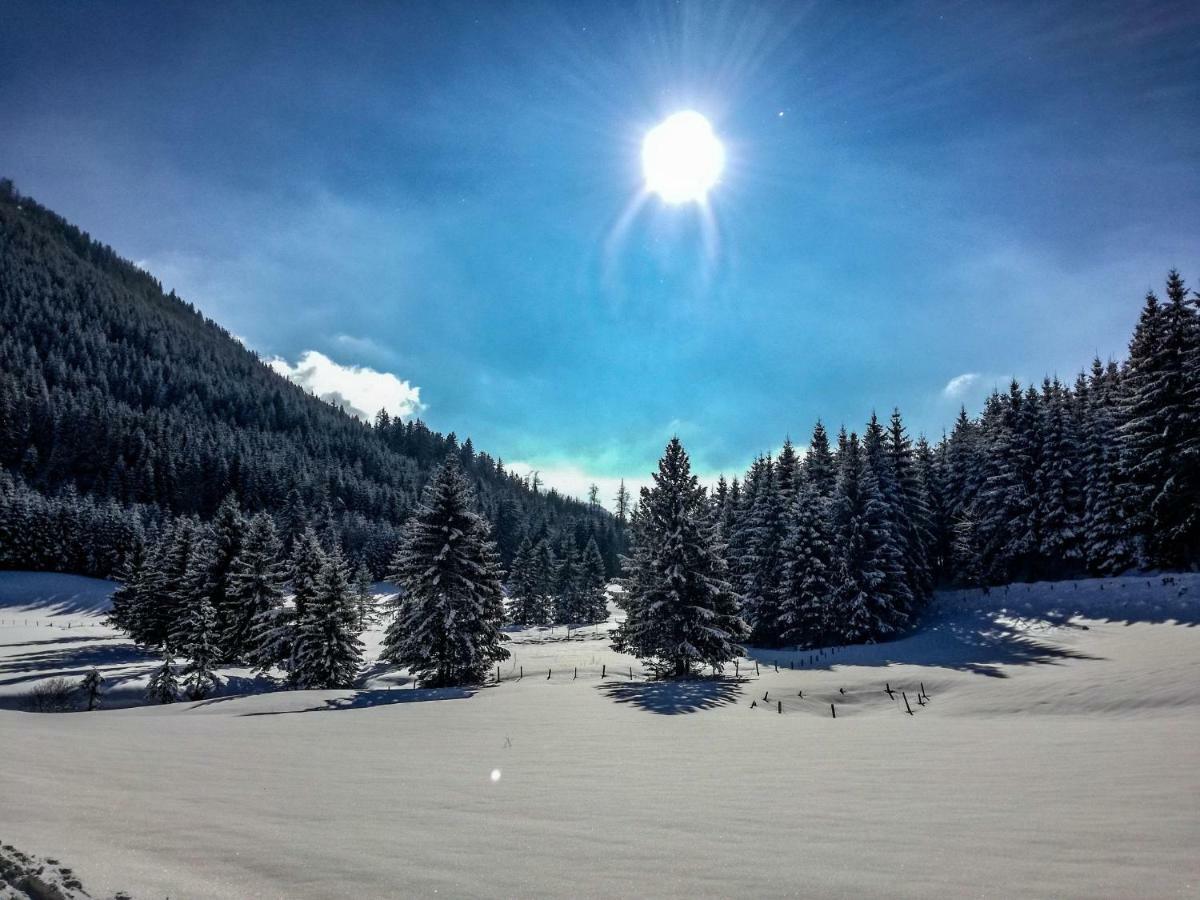 Haus Seebach Lunz am See Zewnętrze zdjęcie