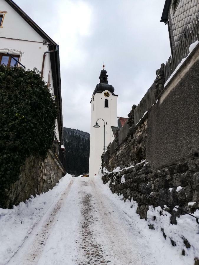 Haus Seebach Lunz am See Zewnętrze zdjęcie