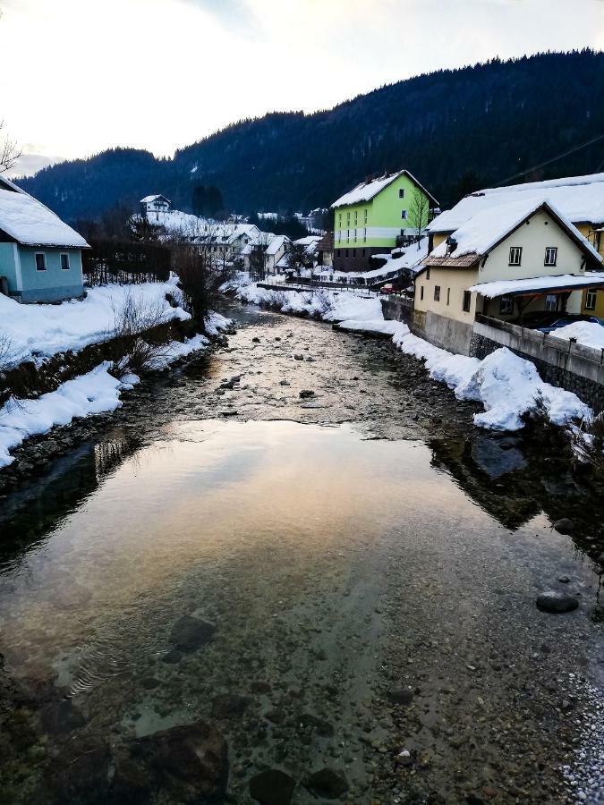 Haus Seebach Lunz am See Zewnętrze zdjęcie