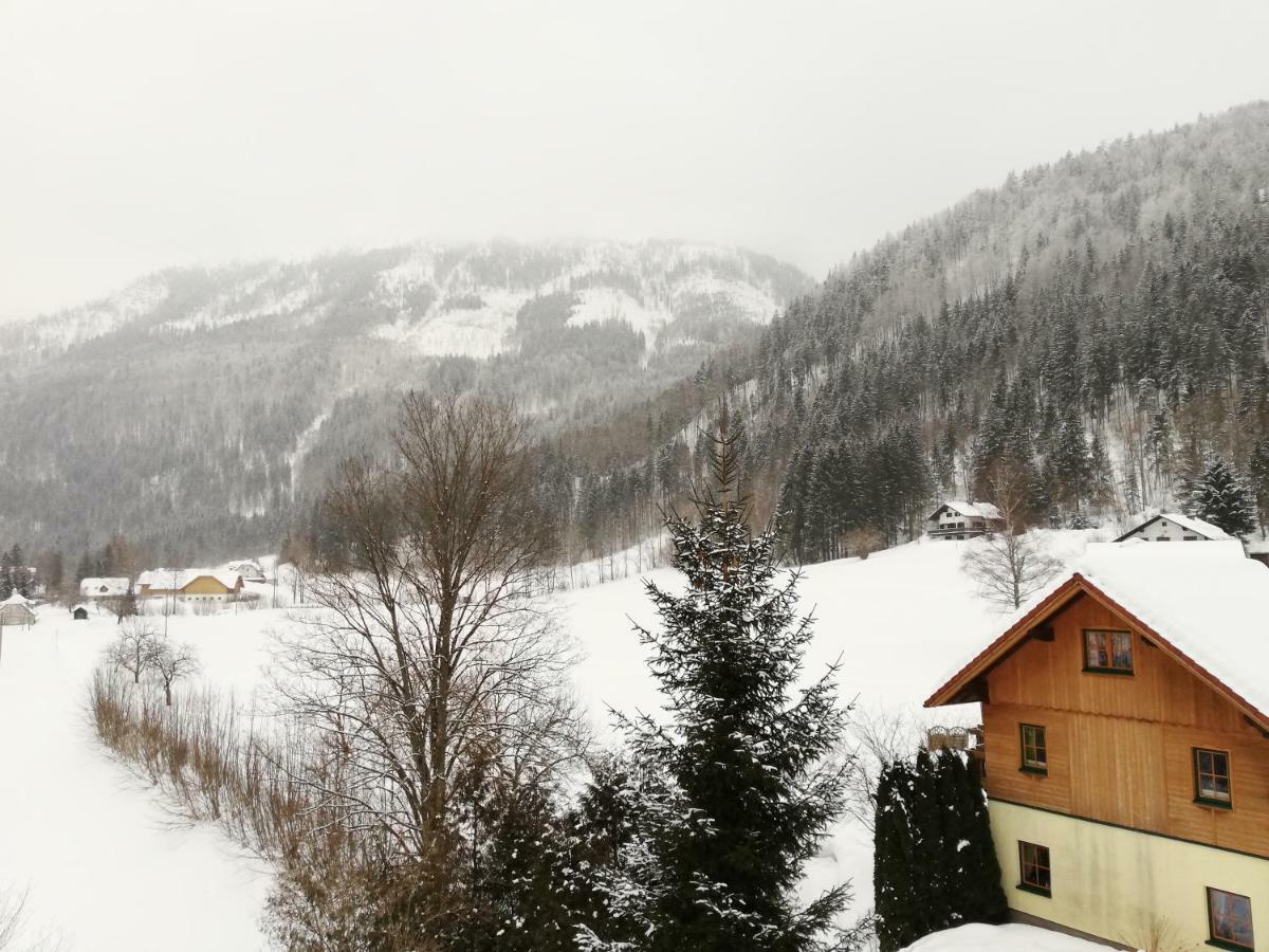 Haus Seebach Lunz am See Zewnętrze zdjęcie